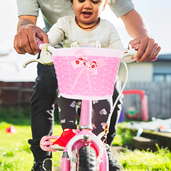 panier pour velo avec frère