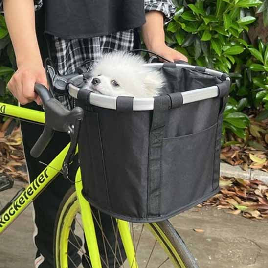 panier pour velo apporte chien