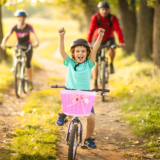 panier pour velo avec famille