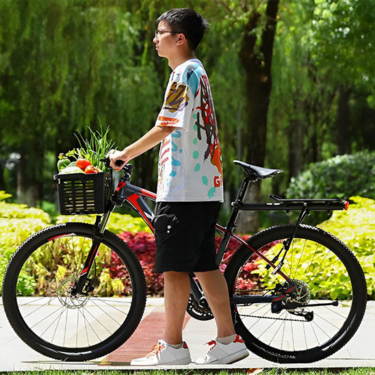 panier vélo profite temps