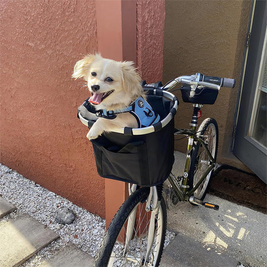 panier pour velo apporte animal